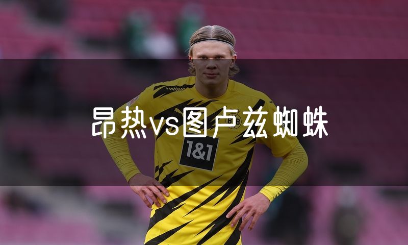 昂热vs图卢兹蜘蛛