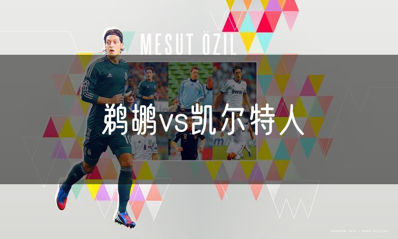 鹈鹕vs凯尔特人