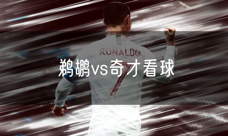鹈鹕vs奇才看球