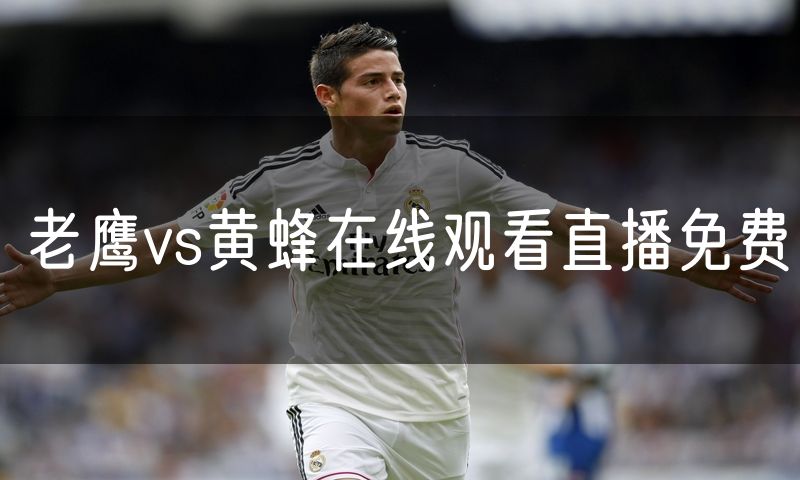 老鹰vs黄蜂在线观看直播免费