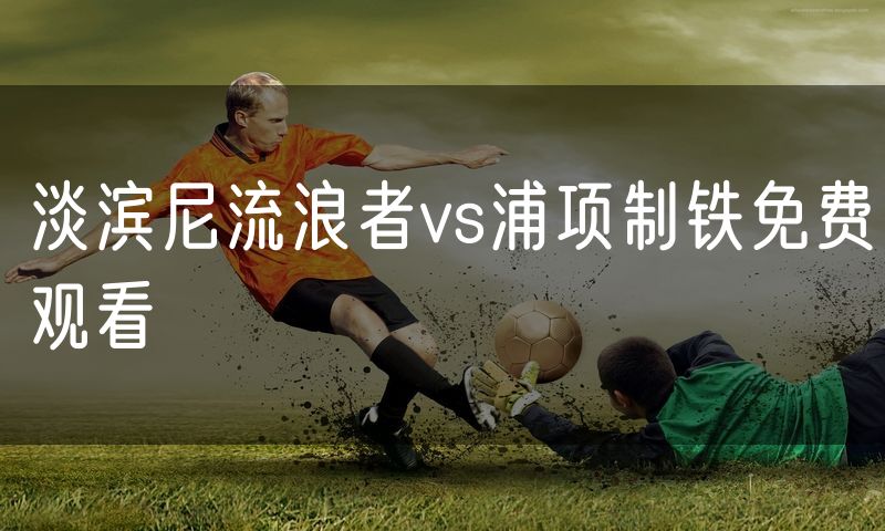 淡滨尼流浪者vs浦项制铁免费观看