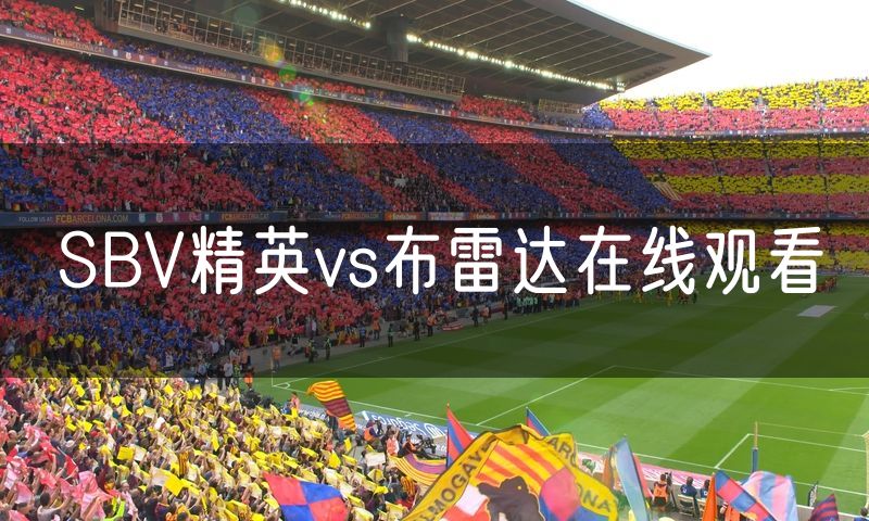 SBV精英vs布雷达在线观看