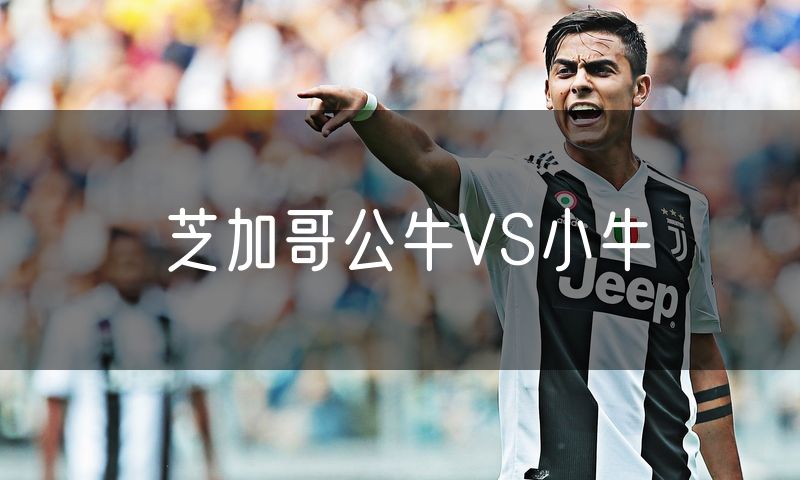 芝加哥公牛VS小牛 芝加哥公牛VS小牛