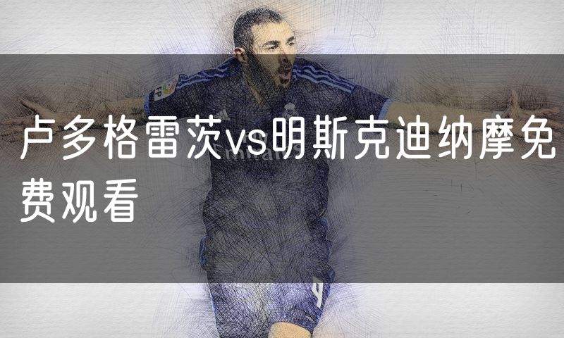 卢多格雷茨vs明斯克迪纳摩免费观看