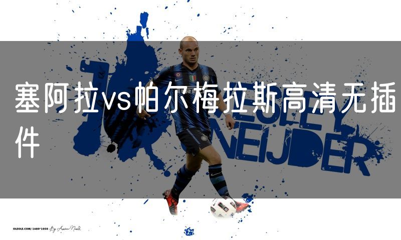 塞阿拉vs帕尔梅拉斯高清无插件
