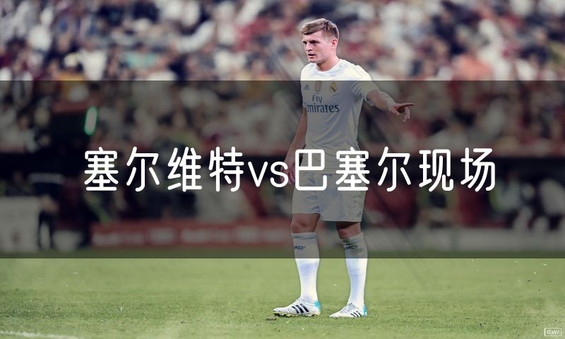塞尔维特vs巴塞尔现场 塞尔维特vs巴塞尔现场