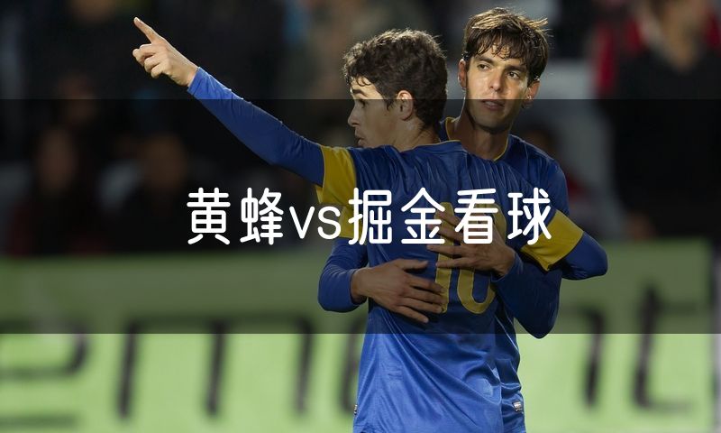 黄蜂vs掘金看球 黄蜂vs掘金看球