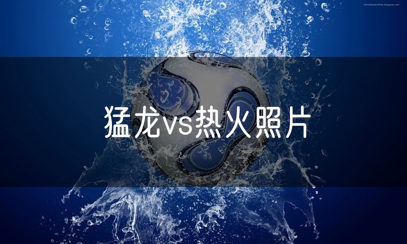 猛龙vs热火照片
