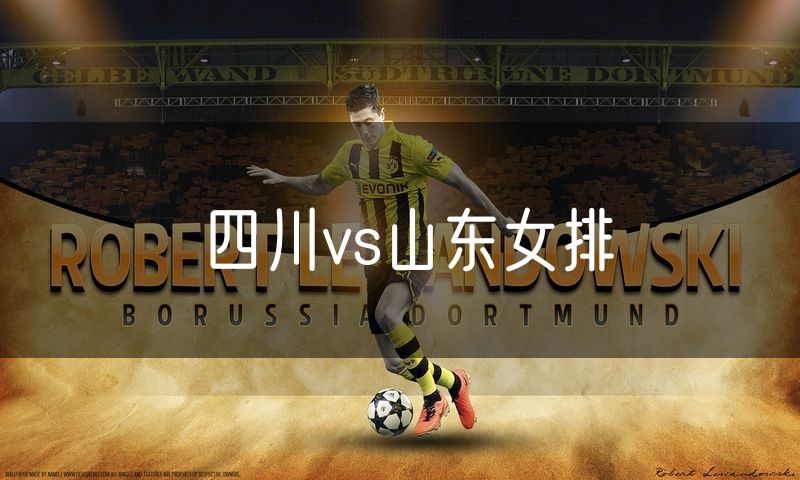 四川vs山东女排