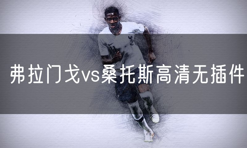 弗拉门戈vs桑托斯高清无插件