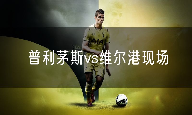 普利茅斯vs维尔港现场