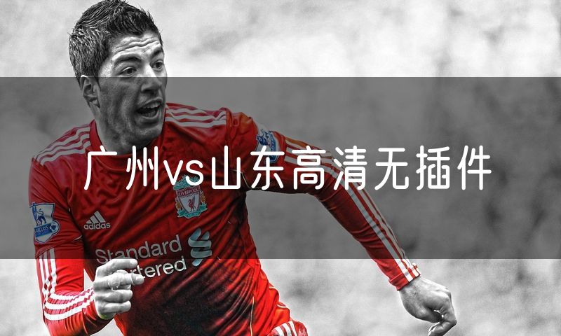 广州vs山东高清无插件
