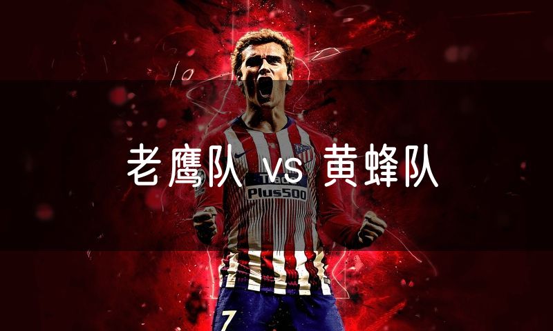 老鹰队 vs 黄蜂队