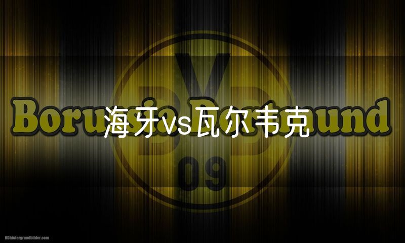 海牙vs瓦尔韦克 海牙vs瓦尔韦克