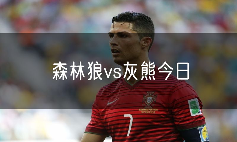 森林狼vs灰熊今日