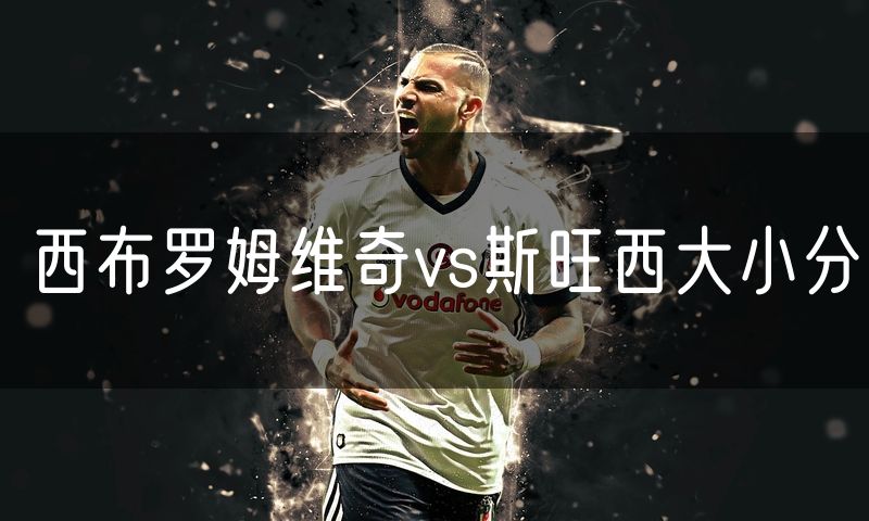 西布罗姆维奇vs斯旺西大小分
