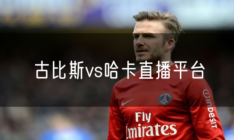 古比斯vs哈卡直播平台