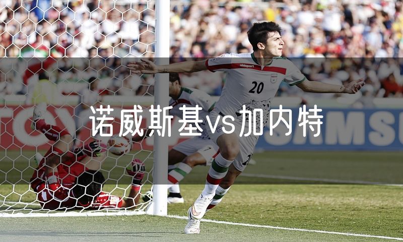 诺威斯基vs加内特 诺威斯基vs加内特