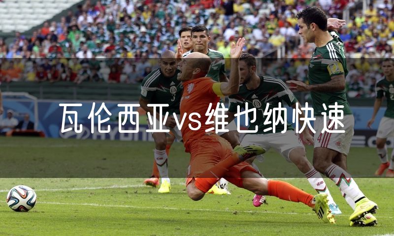 瓦伦西亚vs维也纳快速