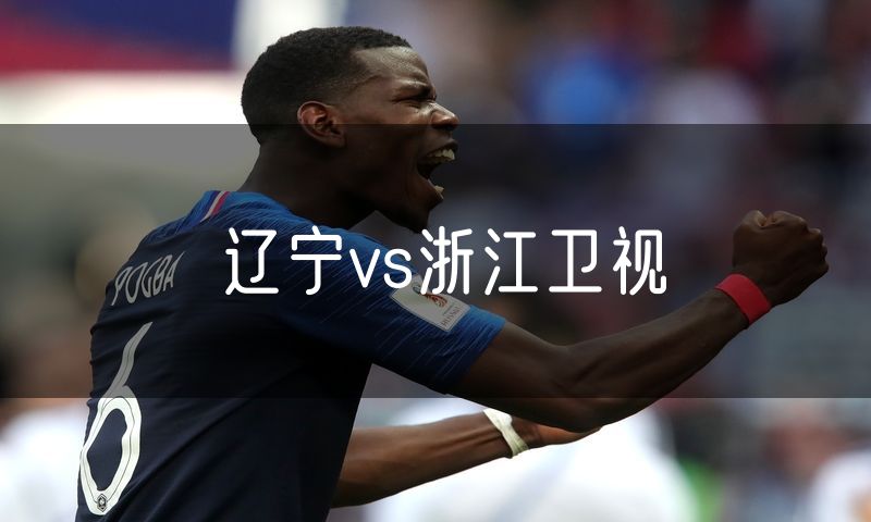 辽宁vs浙江卫视