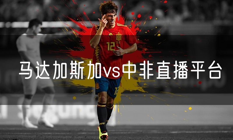 马达加斯加vs中非直播平台