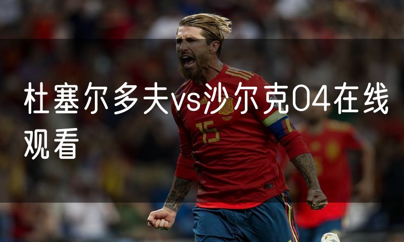 杜塞尔多夫vs沙尔克04在线观看