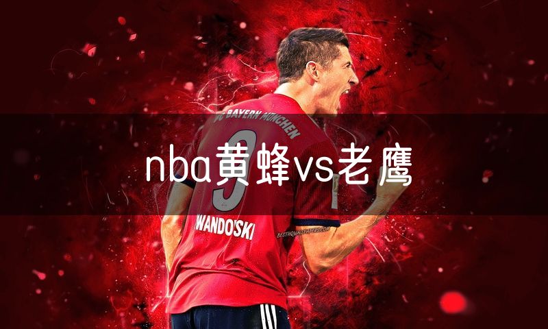 nba黄蜂vs老鹰