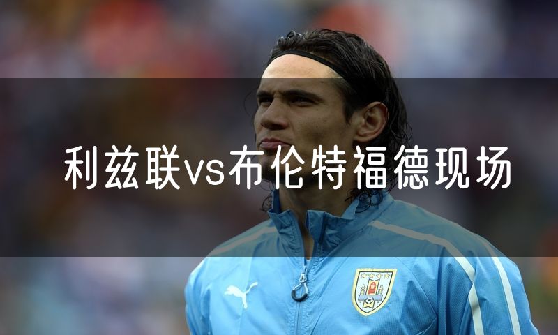 利兹联vs布伦特福德现场