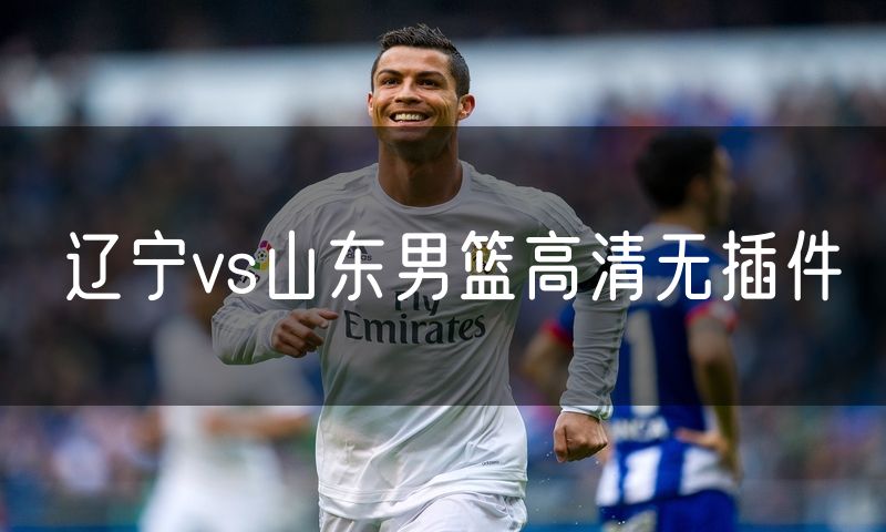 辽宁vs山东男篮高清无插件