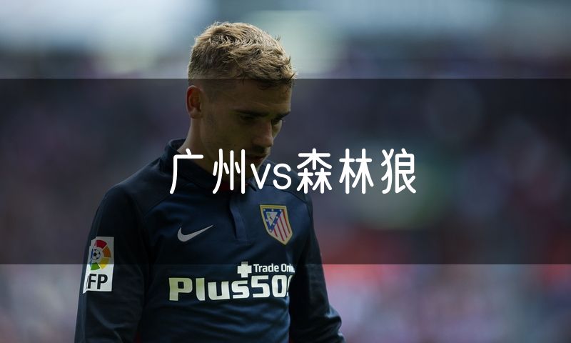 广州vs森林狼 广州vs森林狼