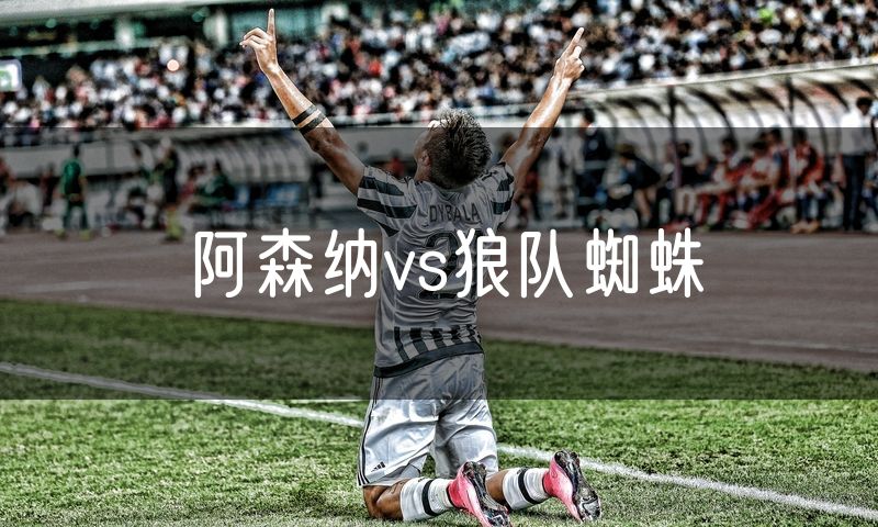 阿森纳vs狼队蜘蛛