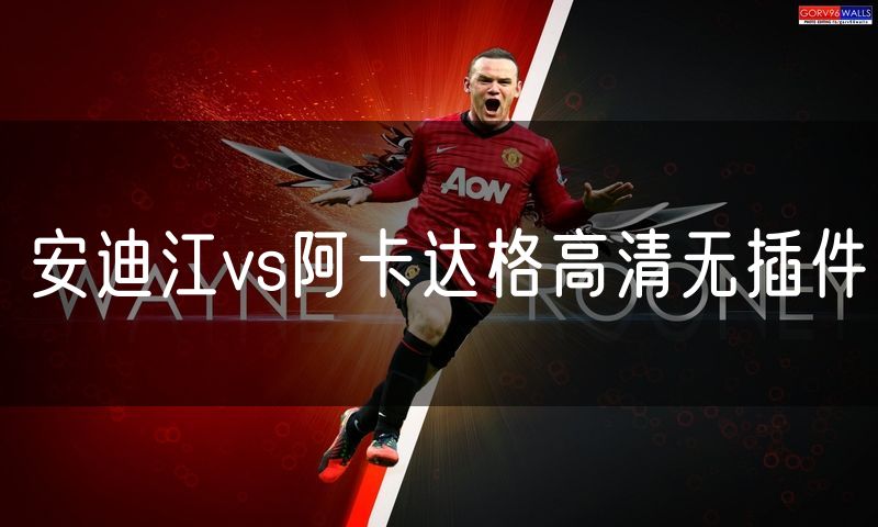 安迪江vs阿卡达格高清无插件