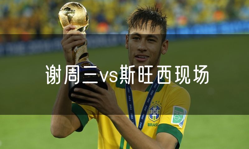 谢周三vs斯旺西现场