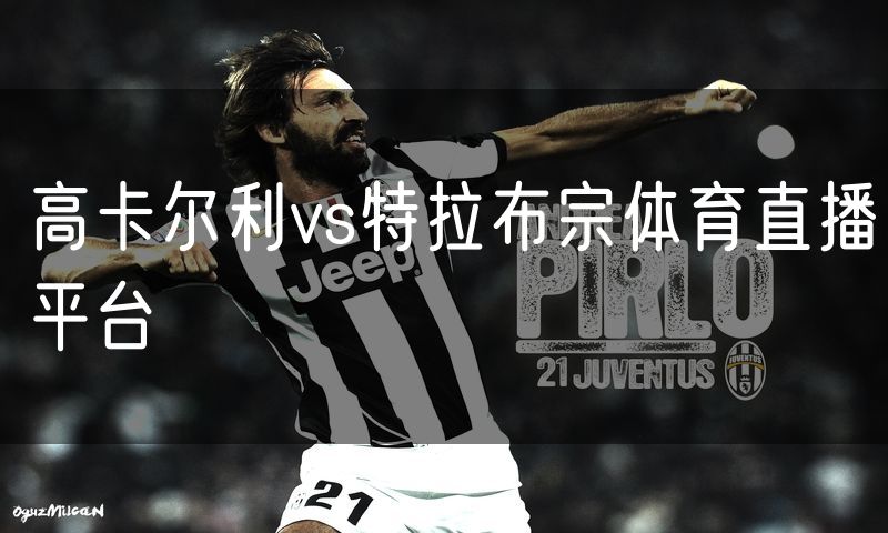 高卡尔利vs特拉布宗体育直播平台