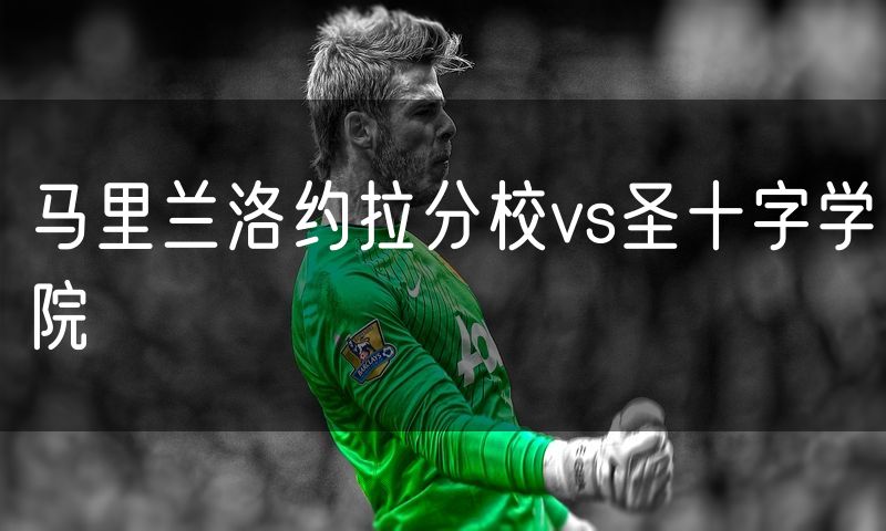 马里兰洛约拉分校vs圣十字学院