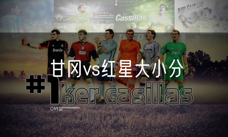 甘冈vs红星大小分