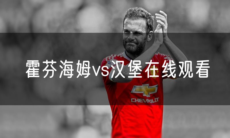 霍芬海姆vs汉堡在线观看