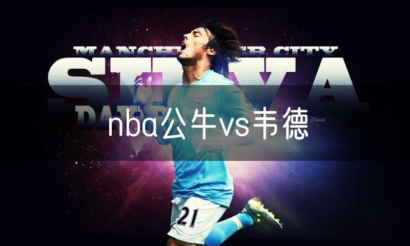 nba公牛vs韦德