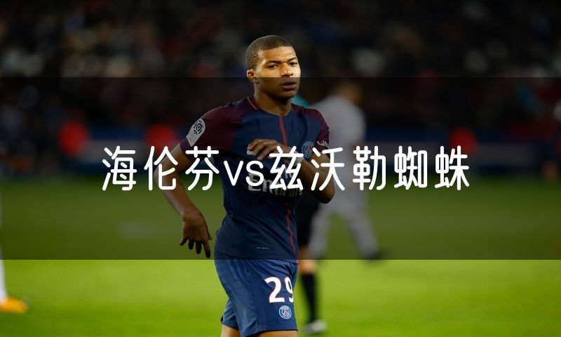 海伦芬vs兹沃勒蜘蛛