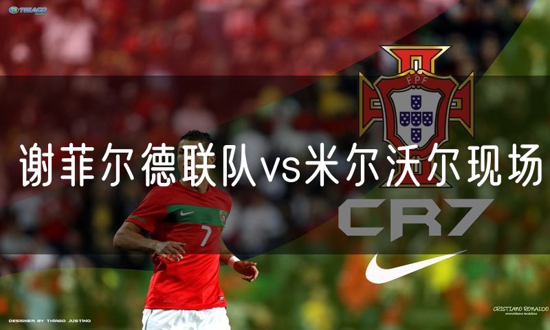 谢菲尔德联队vs米尔沃尔现场