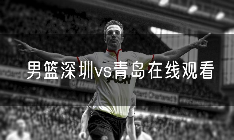 男篮深圳vs青岛在线观看