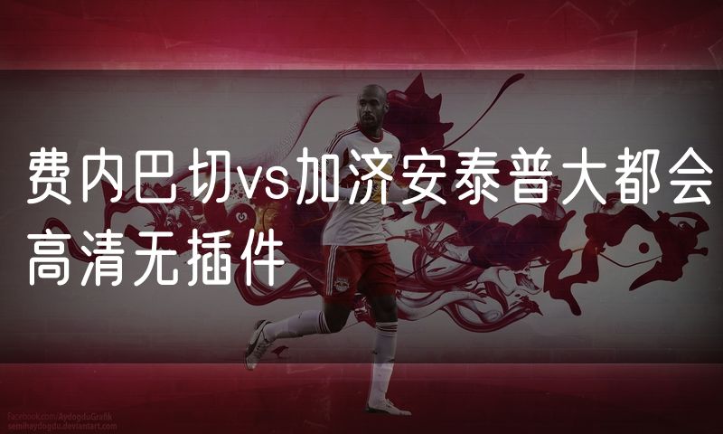 费内巴切vs加济安泰普大都会高清无插件