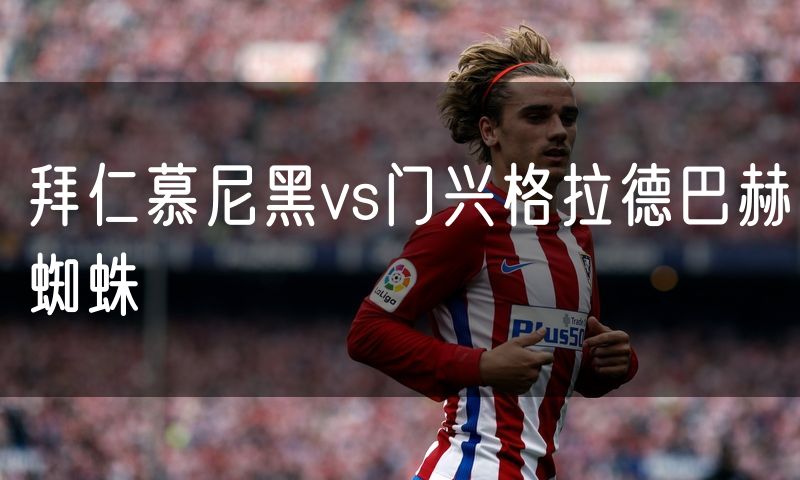 拜仁慕尼黑vs门兴格拉德巴赫蜘蛛