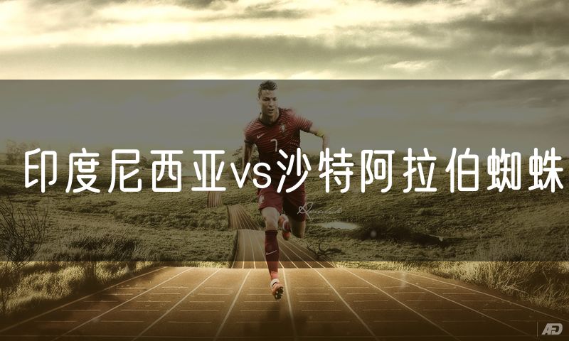 印度尼西亚vs沙特阿拉伯蜘蛛