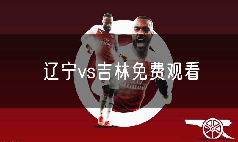 辽宁vs吉林免费观看