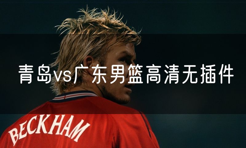 青岛vs广东男篮高清无插件 青岛vs广东男篮高清无插件