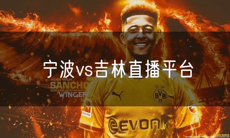 宁波vs吉林直播平台