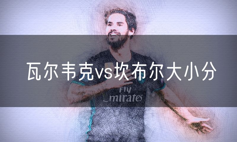 瓦尔韦克vs坎布尔大小分 瓦尔韦克vs坎布尔大小分