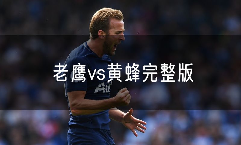 老鹰vs黄蜂完整版