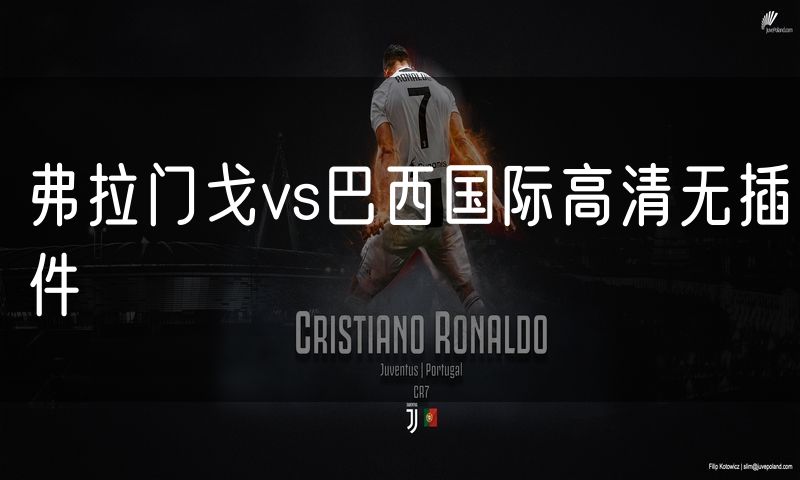 弗拉门戈vs巴西国际高清无插件